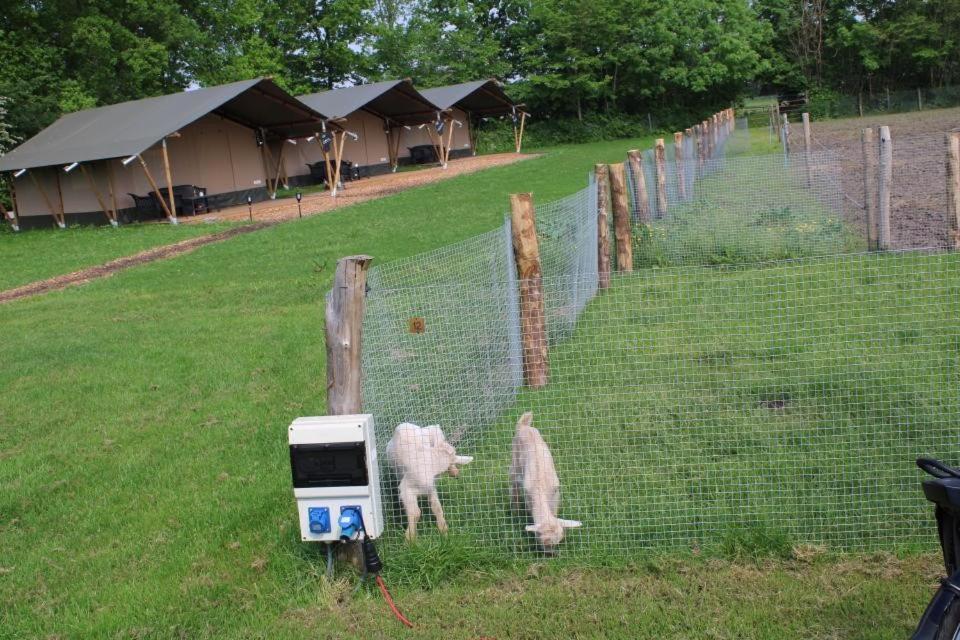 Camping De Waterbuffelfarm Oldemarkt Exterior foto